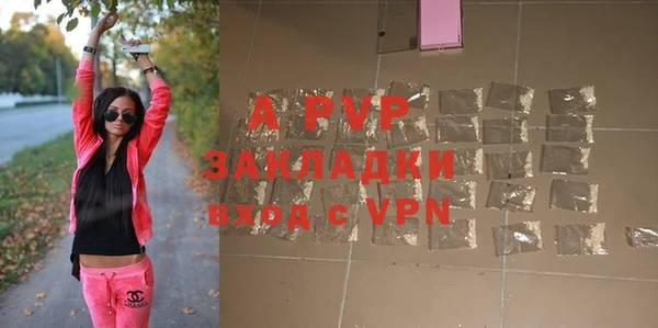 Альфа ПВП Горняк