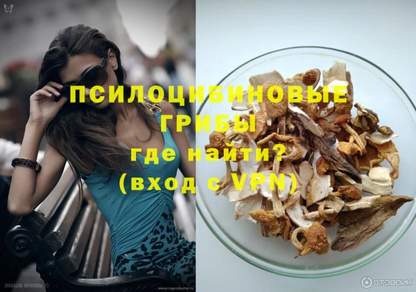 Альфа ПВП Горняк