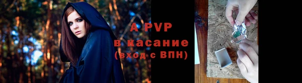 Альфа ПВП Горняк