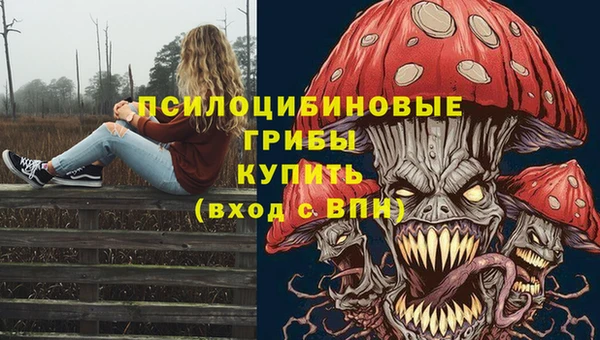 Альфа ПВП Горняк