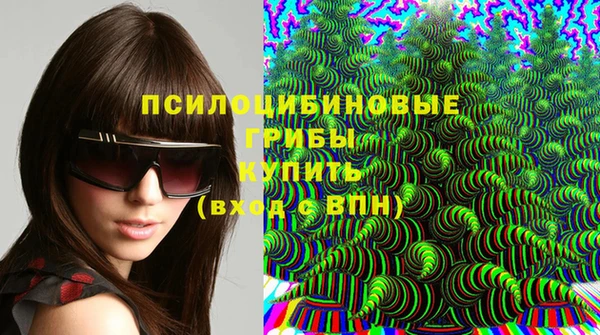Альфа ПВП Горняк